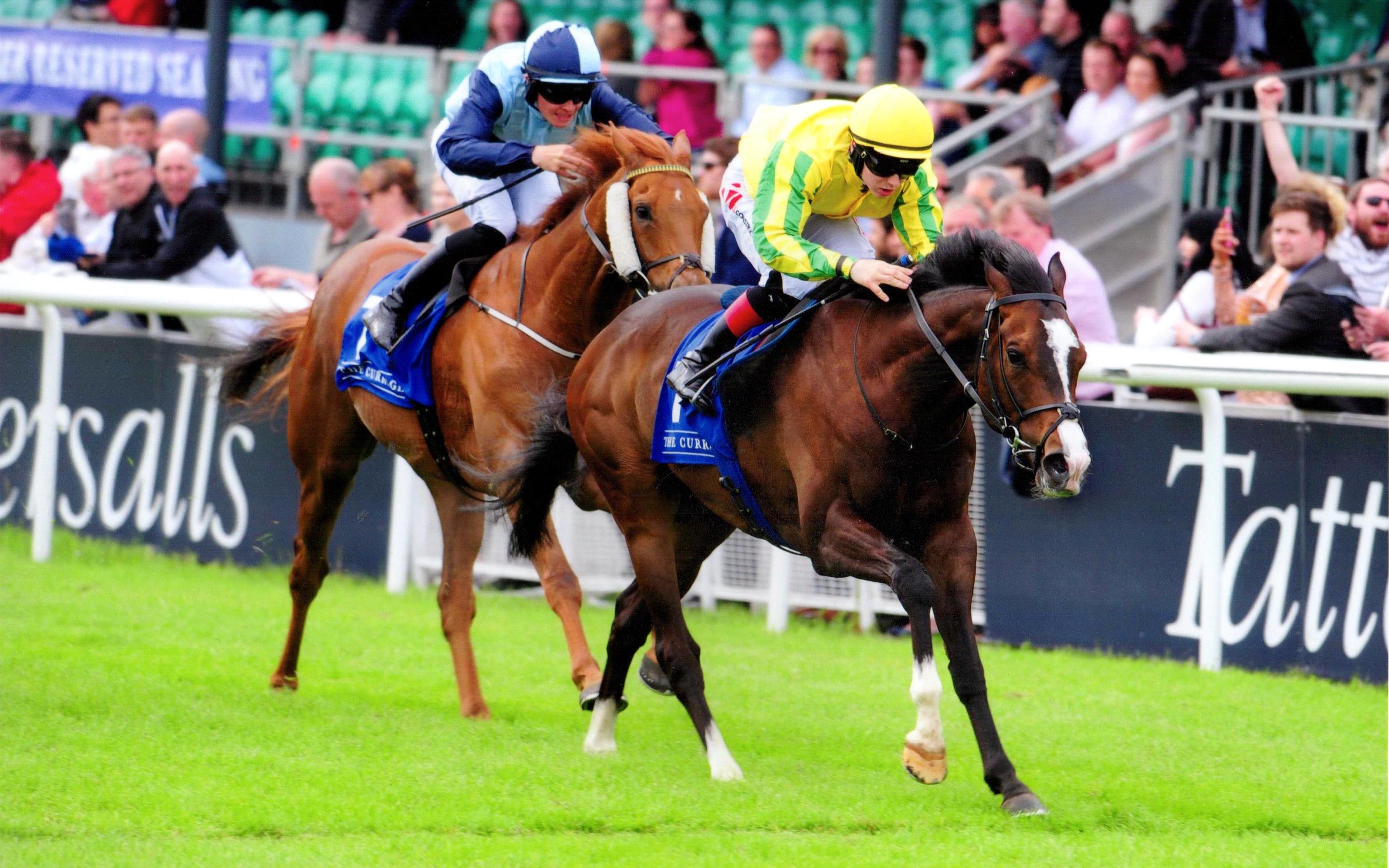 SEA WOLF strikes at The Curragh again under Colin Keane 28th May 2017